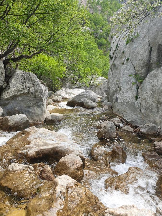 Vito Apartamento Starigrad Paklenica Exterior foto