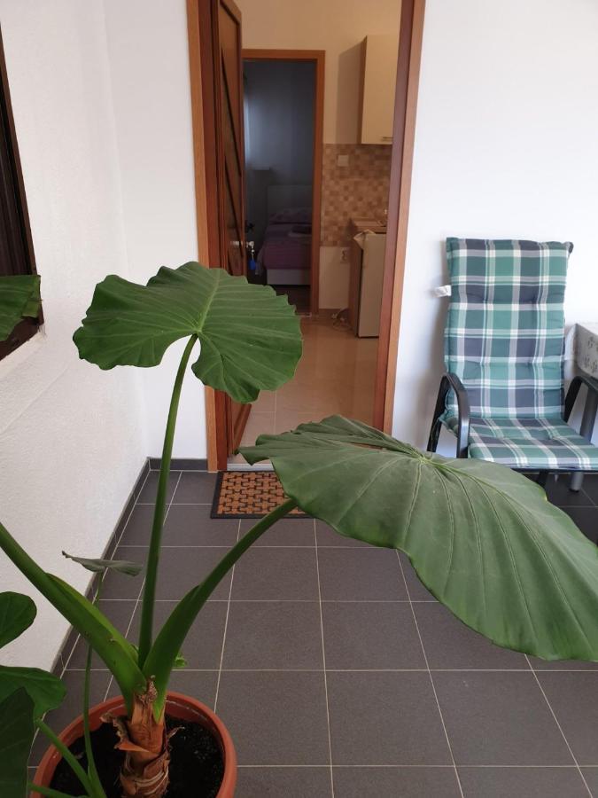 Vito Apartamento Starigrad Paklenica Exterior foto