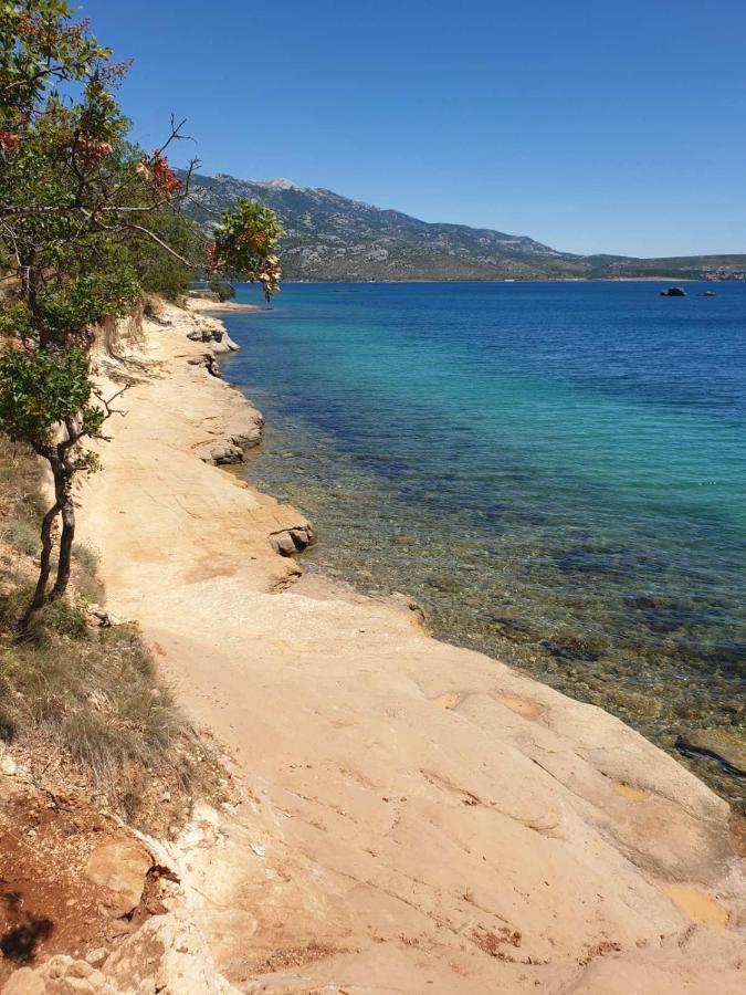 Vito Apartamento Starigrad Paklenica Exterior foto