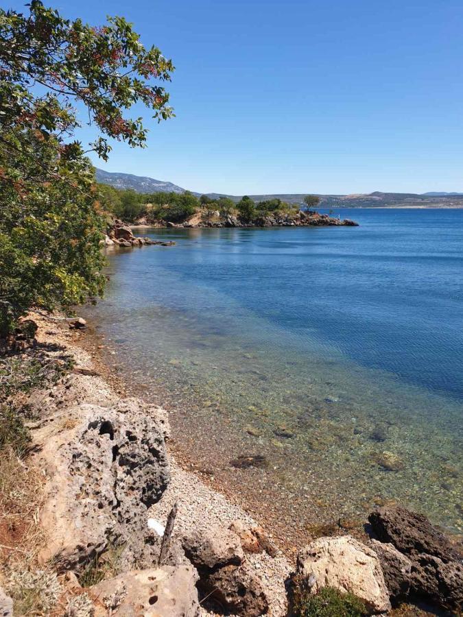 Vito Apartamento Starigrad Paklenica Exterior foto